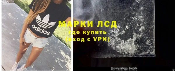 ПСИЛОЦИБИНОВЫЕ ГРИБЫ Баксан