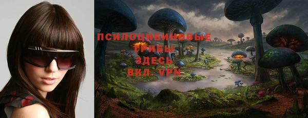 соль ск Балабаново