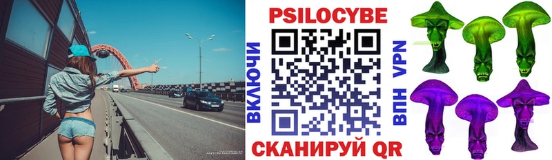 цена   Баксан  Галлюциногенные грибы Psilocybe 