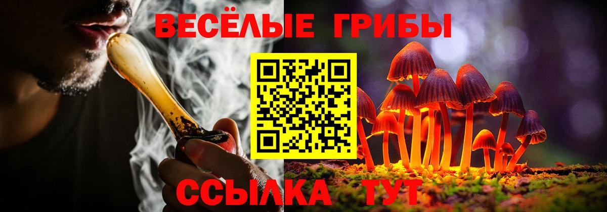 Псилоцибиновые грибы мицелий  Вход с VPN  Галлюциногенные грибы Cubensis  хочу наркоту  Баксан 