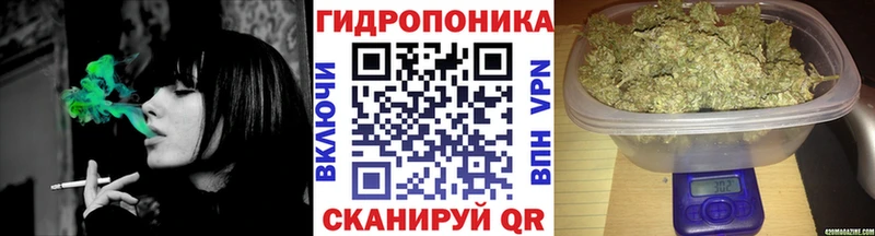 Бошки Шишки Ganja  наркотики  Баксан 
